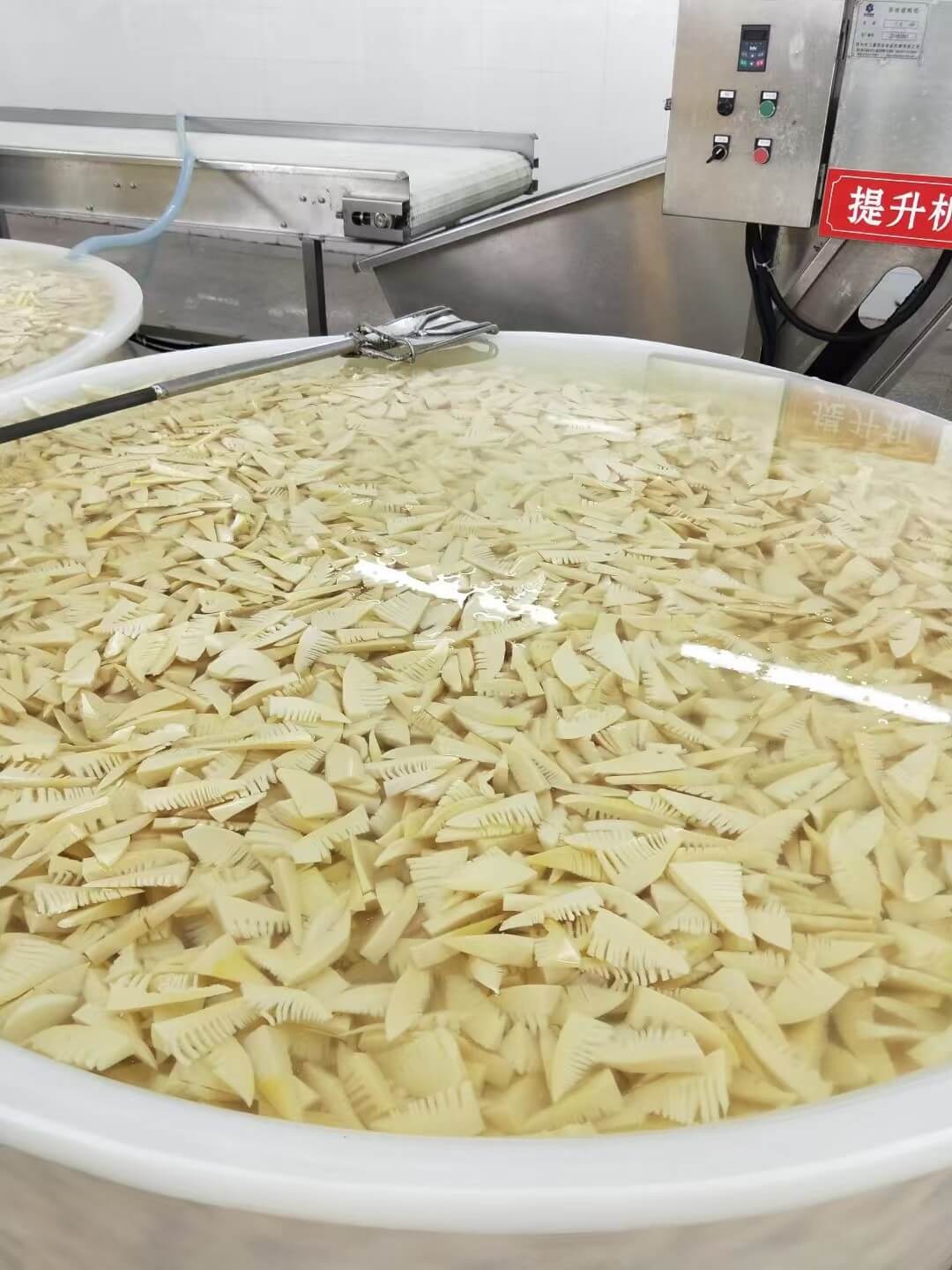 速冻笋片