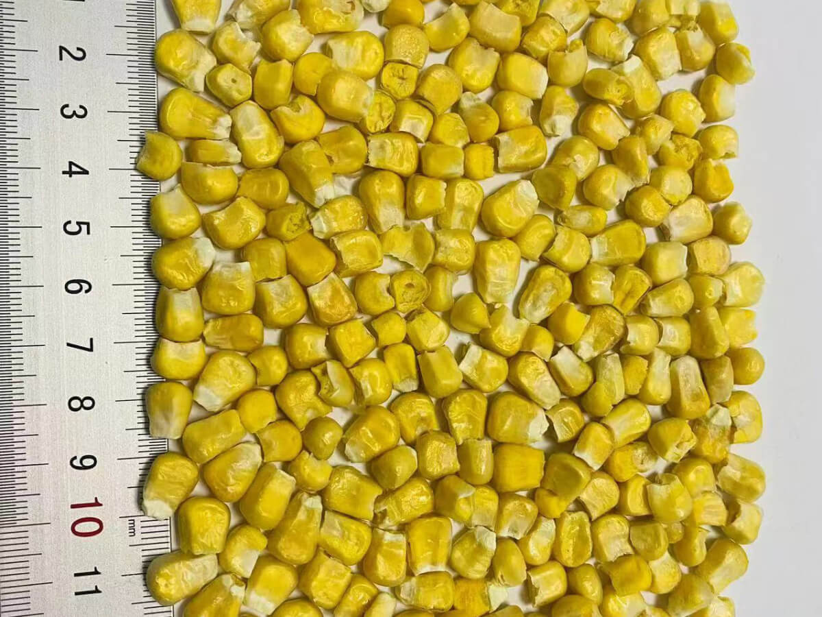甜玉米粒